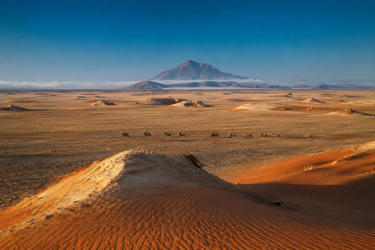 Red dunes meeting gravel plains in the northern Namib desert of south-west Angola at golden hour